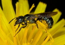 img_1989