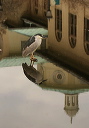bcnheron794