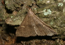 renia_img_2536