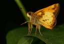 zabulon_img_3363