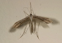 emmenlina_img_3837