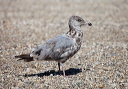 img_0583