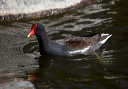 img_6841